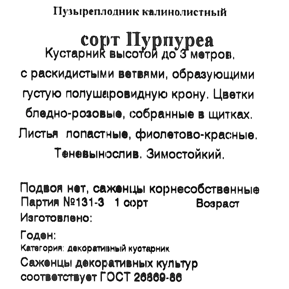 Пузыреплодник красный в коробке 17497017 STLM-2019021 Santreyd  - Вид №1