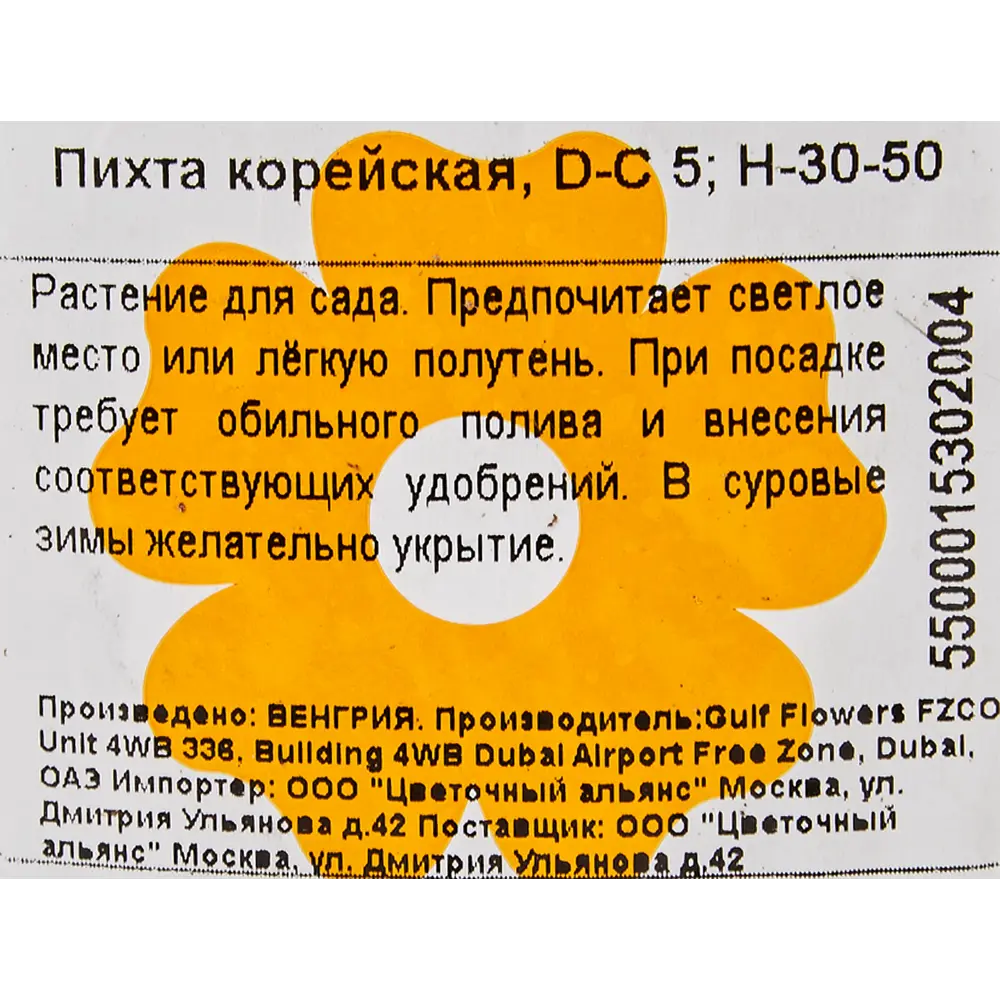Пихта корейская 23x40 см 82601676 STLM-2086180 Santreyd  - Вид №1