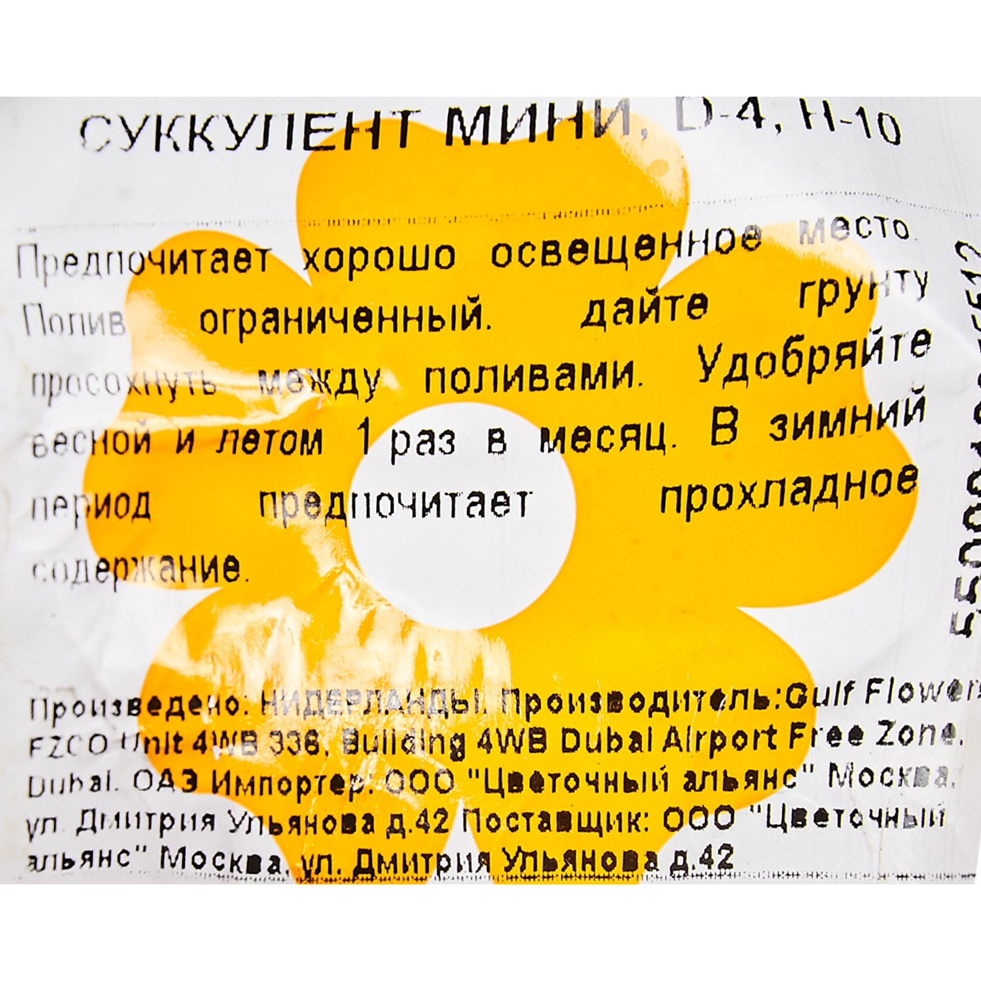 82850439 Суккулент мини 4х10 см Santreyd  - Вид №2