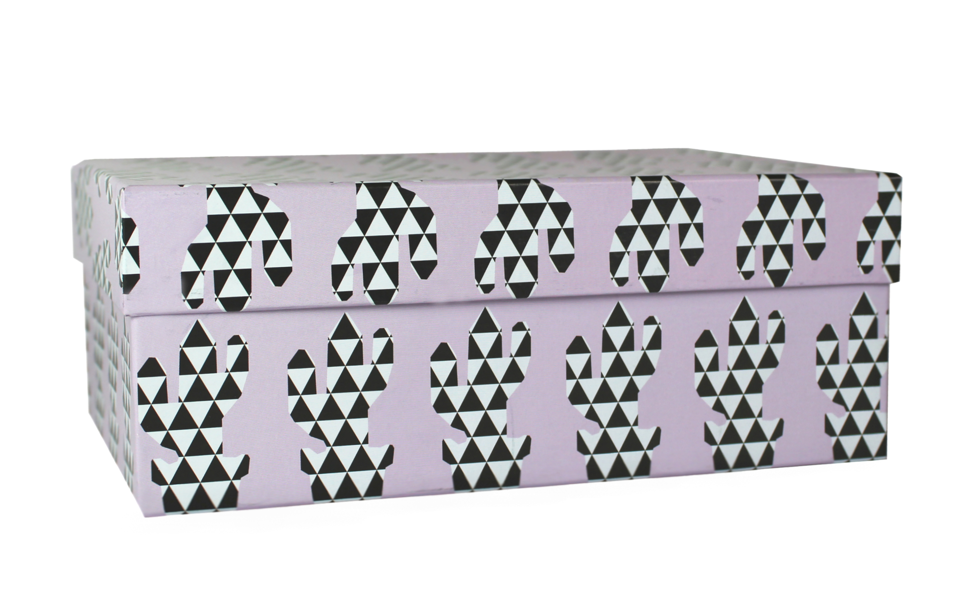 509934 Коробка подарочная "Граненые кактусы", 21 х 14 х 8 см Santreyd 