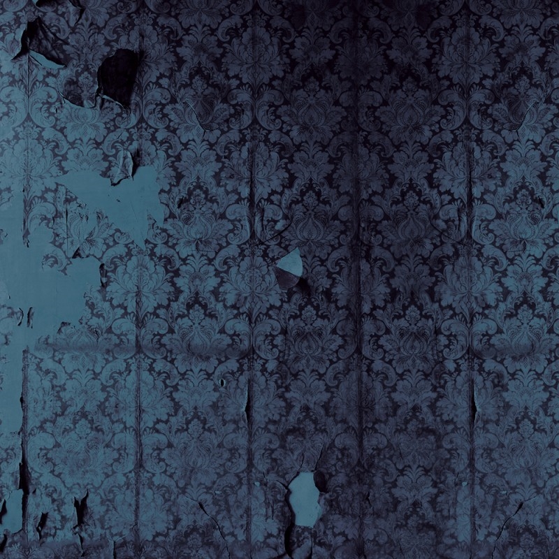 WP03054A Обои декоративные Adriani e Rossi  - Вид №1