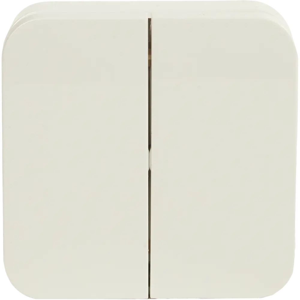 Выключатель накладной Schneider Electric Blanca 10 Ас 2 клавиши цвет белый SYSTEME ELECTRIC STLM-2128362 - Вид №1