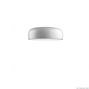 Flos F1366009 SMITHFIELD потолочный