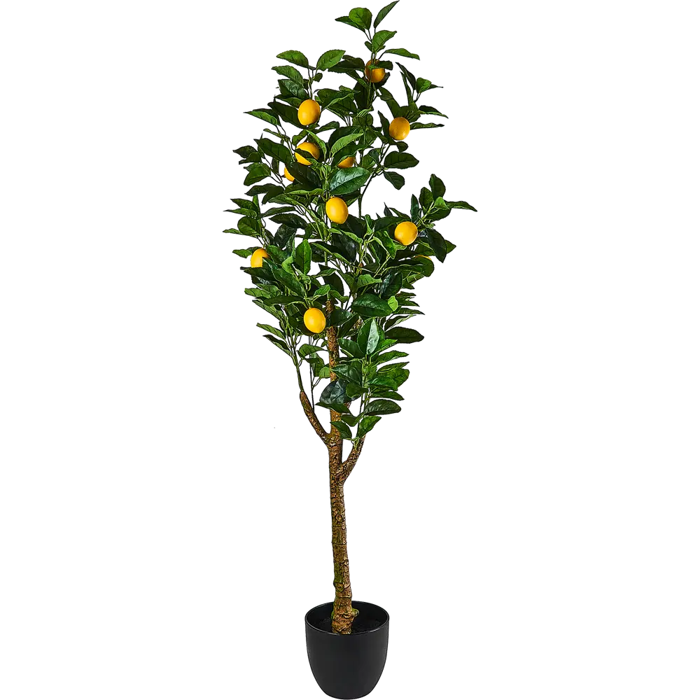 88884646 Искусственное растение Лимонное дерево 130 см STLM-0955204 Santreyd  - Вид №1