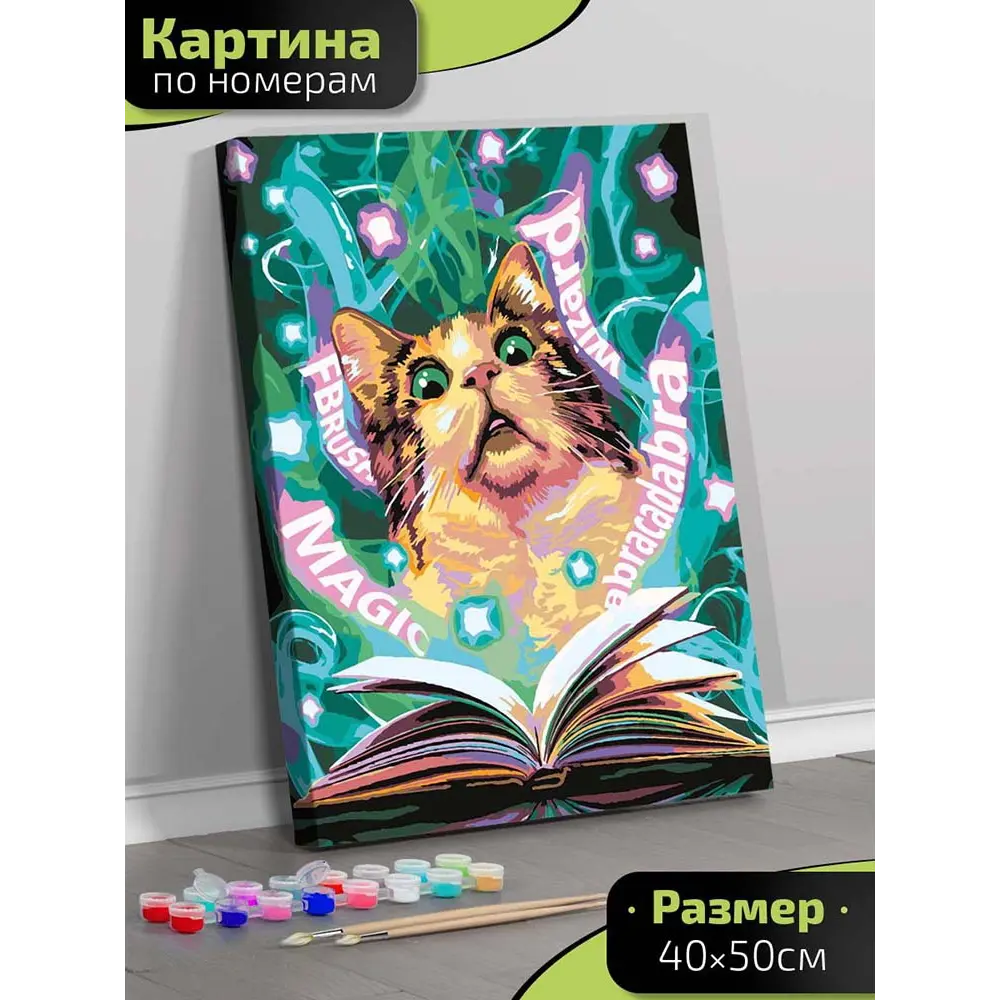 Картина по номерам Fbrush Волшебник 40x50 см STLM-2068630