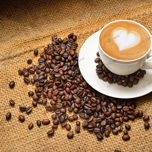 A1-062 Фотообои DIVINO Collection A 1.47х2 м A1062