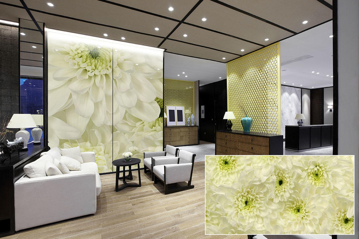 FSRT376 Зум-стекло Vivispectra с прослойкой в ​​оттенках серого гвоздики Forms-surfaces  - Вид №13