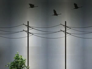 Jannelli&Volpi Пейзаж обои Co.de.01