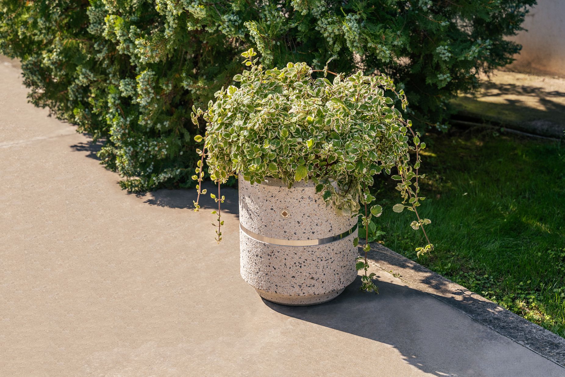 Круглый бетонный плантатор ENCHO ENCHEV - ETE 20 ARCH-00046029 - Вид №6