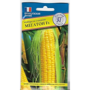 Семена кукурузы Мегатон F1 - высокоурожайный гибрид для вашего огорода 82107794