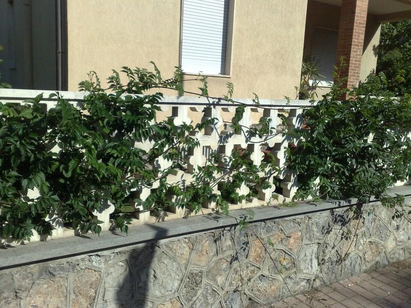 SAS Italia Модульные элементы для заборов sun-id-1388499 - Вид №19