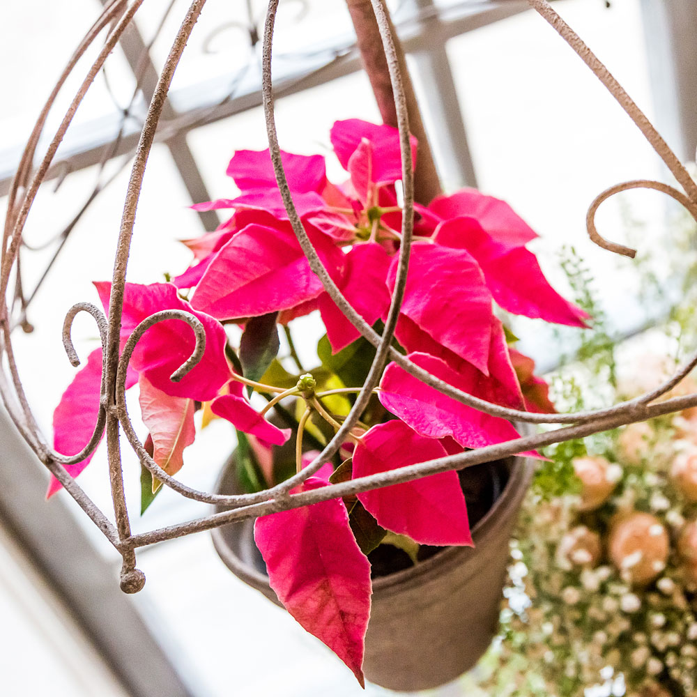 5086869 Кашпо "Рио" Object Desire  - Вид №3