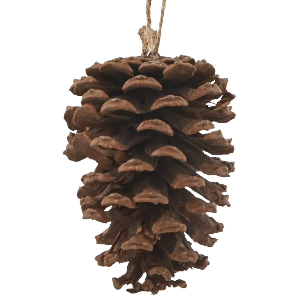 Украшение ёлочное «Шишка», 6-8 см, цвет коричневый Santreyd STLM-2079265 - Вид №2
