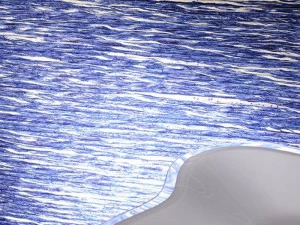 Élitis Покрытие бумажной пряжей Geisha