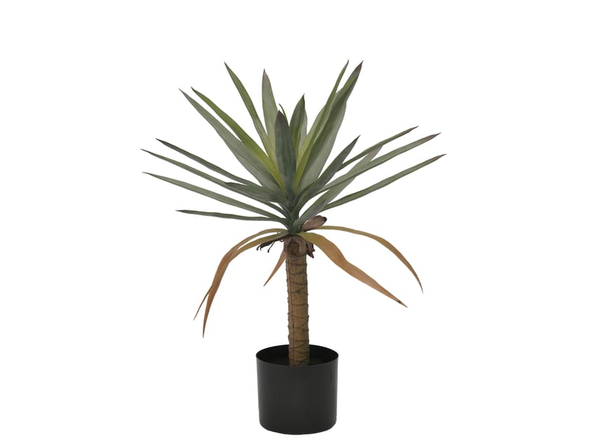 Искусственное растение BIZZOTTO DRACAENA H62 ARCH-00139378