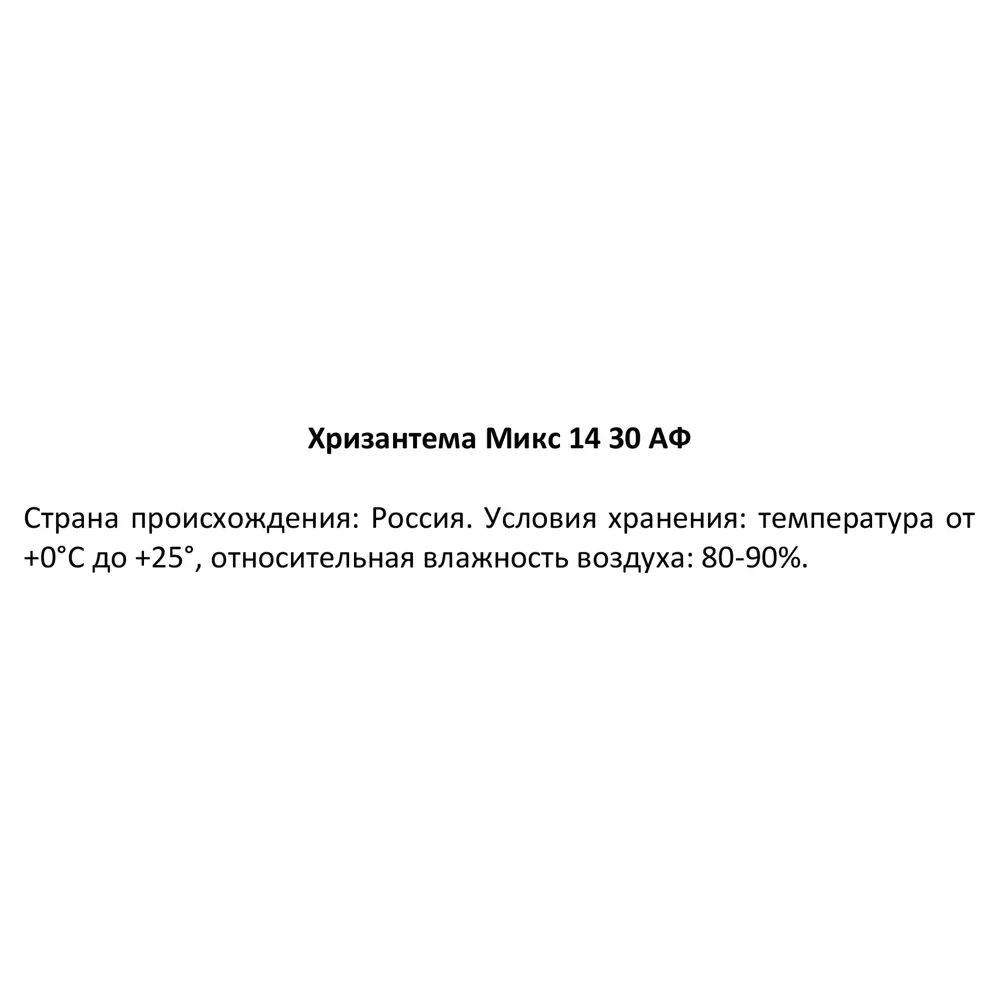 Хризантема микс ø14 h30 см 85324991 STLM-2145102 Santreyd  - Вид №7