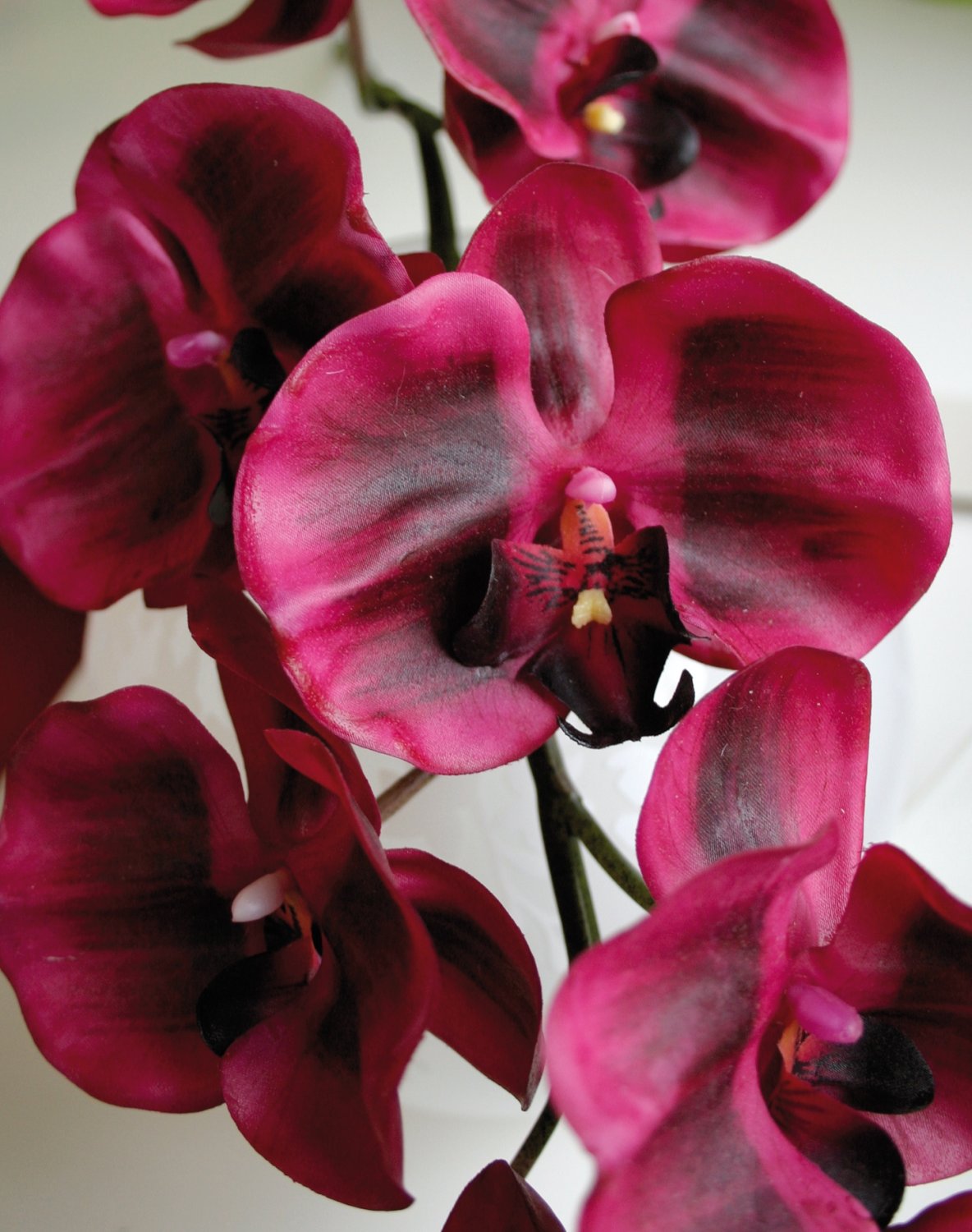 2508 299 a3 Пластиковая орхидея Phalaenopsis, 110 см, real touch, антично-темно-фиолетовый H-andreas 
