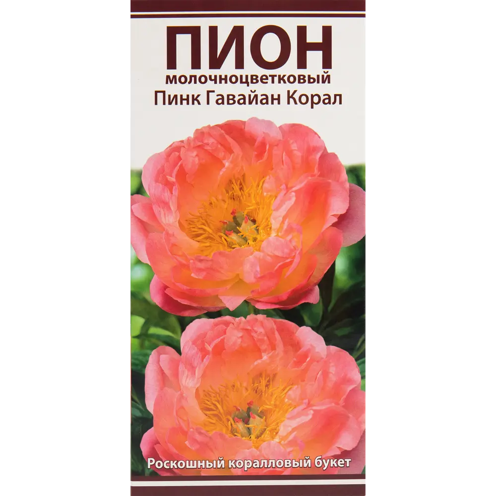 Пионы травянистые Пинк Гавайан Корал 82530292 STLM-2017203 Santreyd 