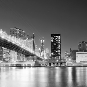 1131/CX38 Картина 1131 Adriani e Rossi