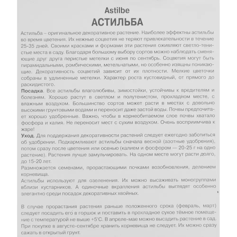 Астильба Арендса Глат 85186008 STLM-2010741 ПОИСК  - Вид №2