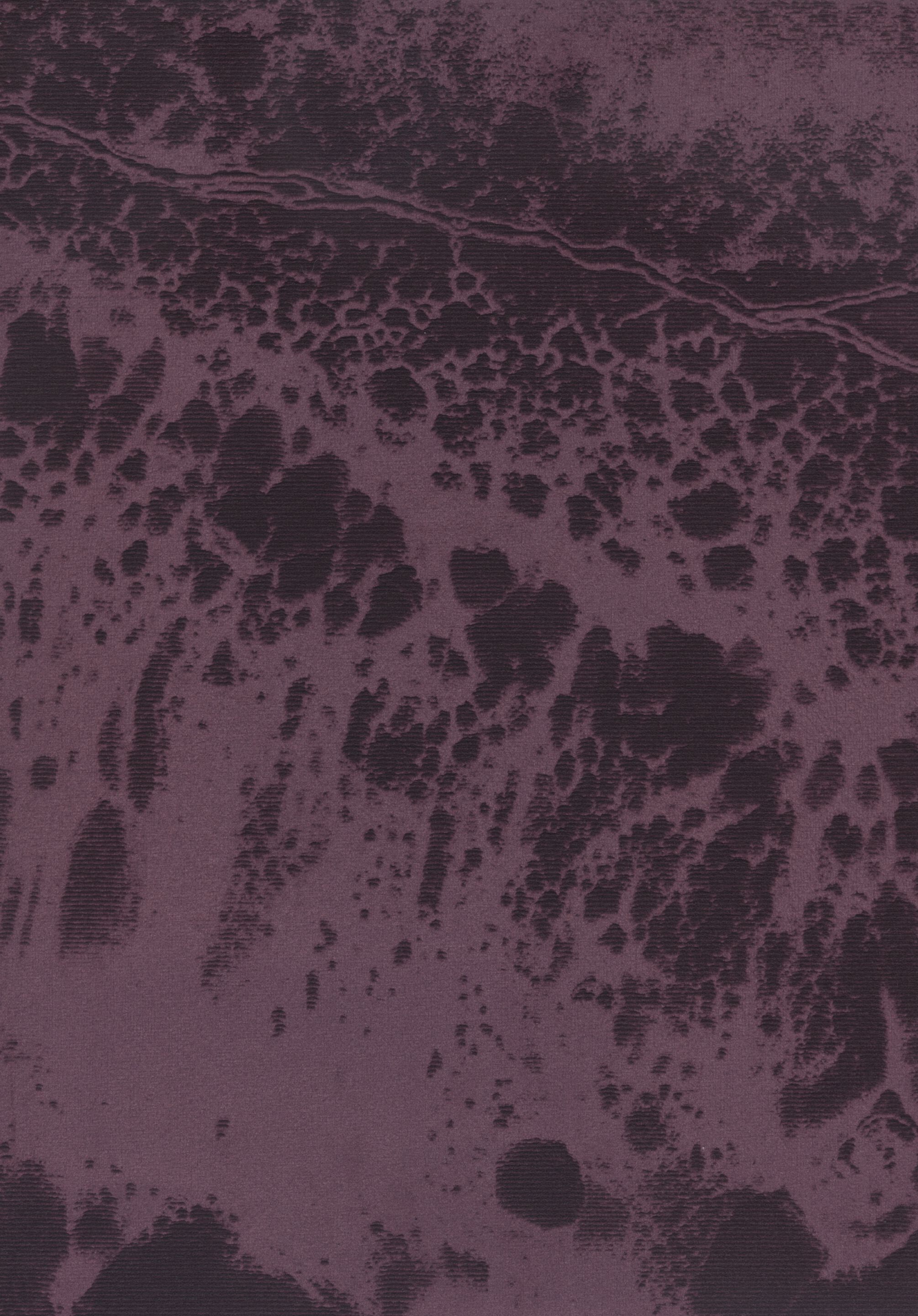 Обои с лазерной маркировкой на бархате TEXAM Королевский ARCH-00025723 - Вид №5