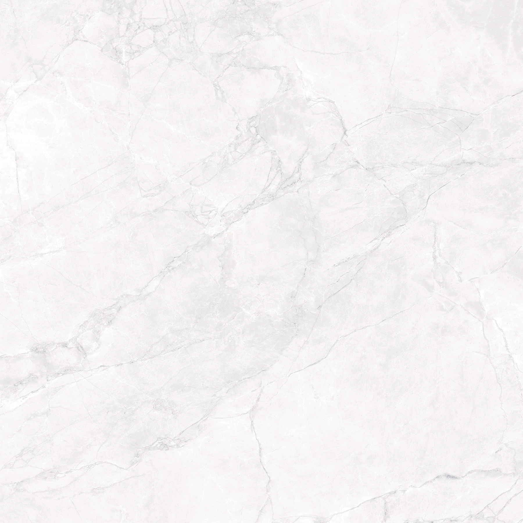 ARCTIC WHITE ARCADIA CERAMICA CR6008-A - Вид №1
