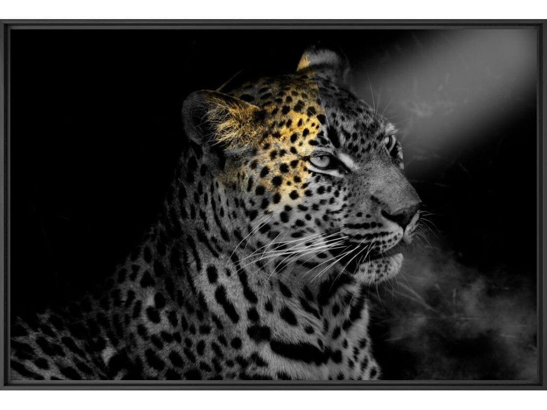 Печать фотографий на бумаге YellowKorner животное ARCH-00146636 - Вид №1