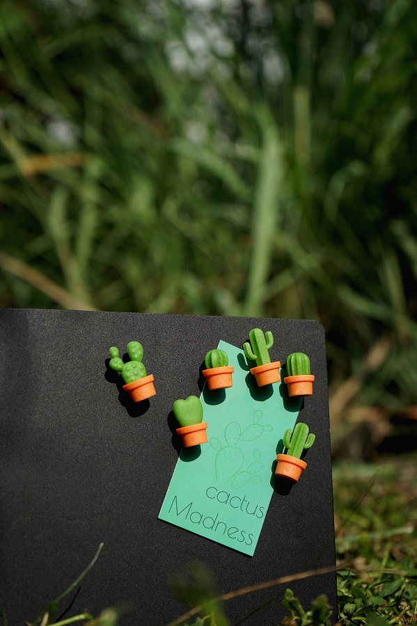 QL10288-OR-GN Магниты cactus, 6 шт. Qualy  - Вид №3