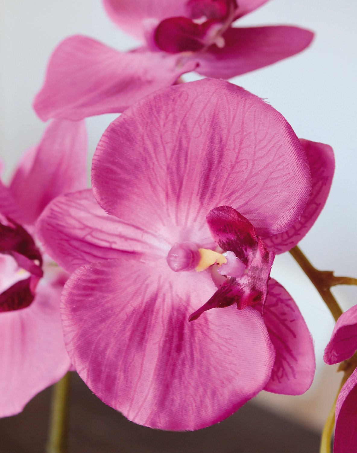 9805 420 a3 Орхидея Phalaenopsis, шелк, 60см, в горшке, вишня H-andreas 