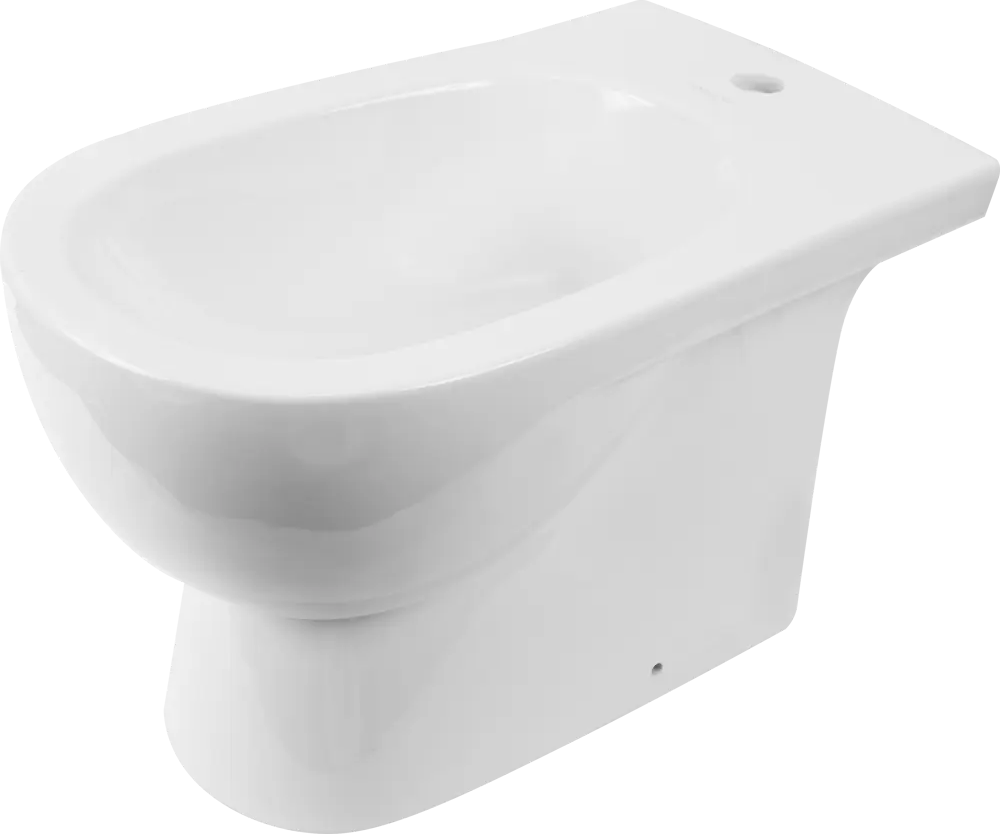 SANITA LUXE Blanc — напольное биде классической формы 82010710