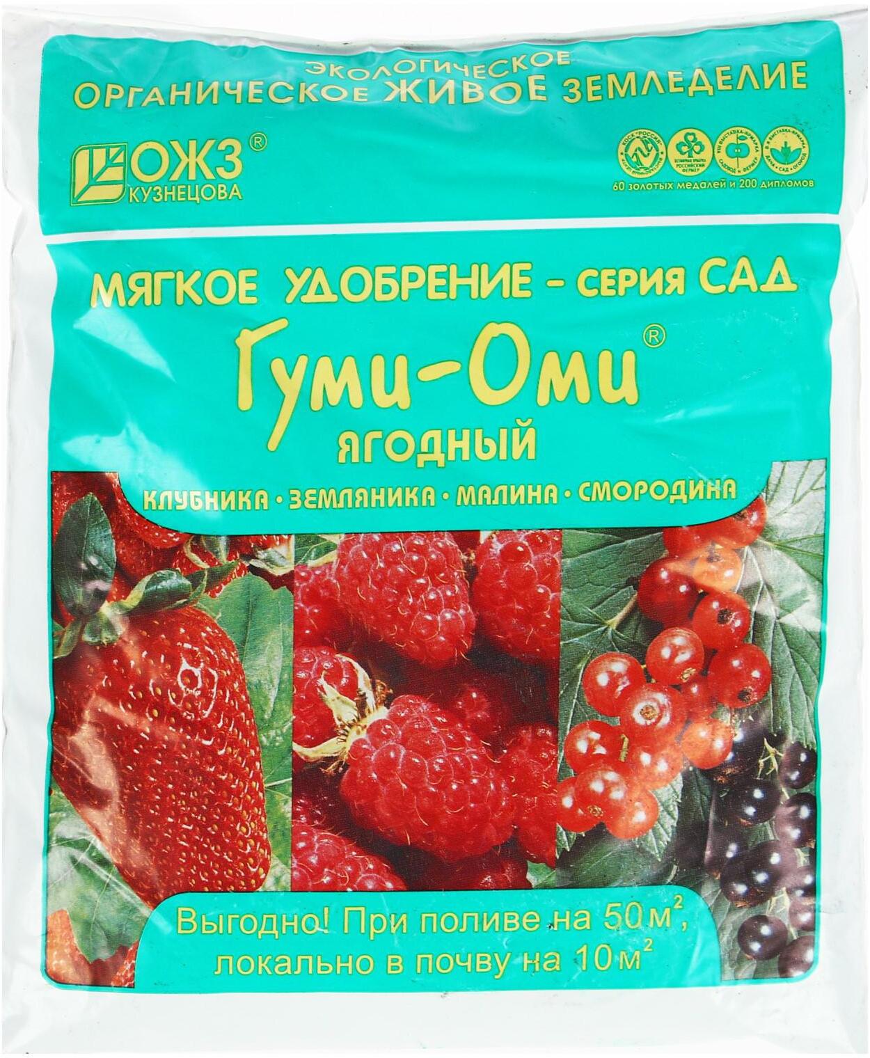 91032001 Удобрение ОЖЗ Гуми-Оми Ягодный для земляники клубники малины смородины 0.7 кг STLM-0449887 ОЖЗ КУЗНЕЦОВА