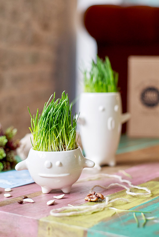 Набор для выращивания Eco Кру ЭКОЧЕЛОВЕКИ 8003 - Вид №5