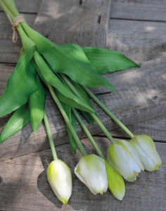 2952 708 a3 Искусственный букет тюльпанов, 5-кратный, 37 см, бело-зеленый H-andreas