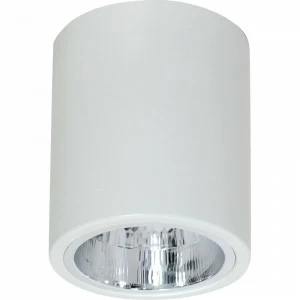 Потолочный светильник Luminex Downlight Round 7236 LUMINEX DOWNLIGHT ROUND 203572 Белый