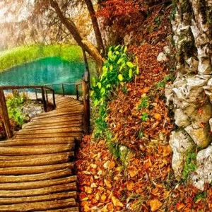 WP01276 Фотообои Verol Фотообои decoline 1х1 м