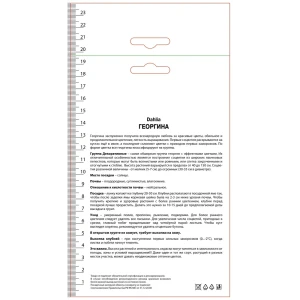 Георгина декоративная Принцесса Грация
