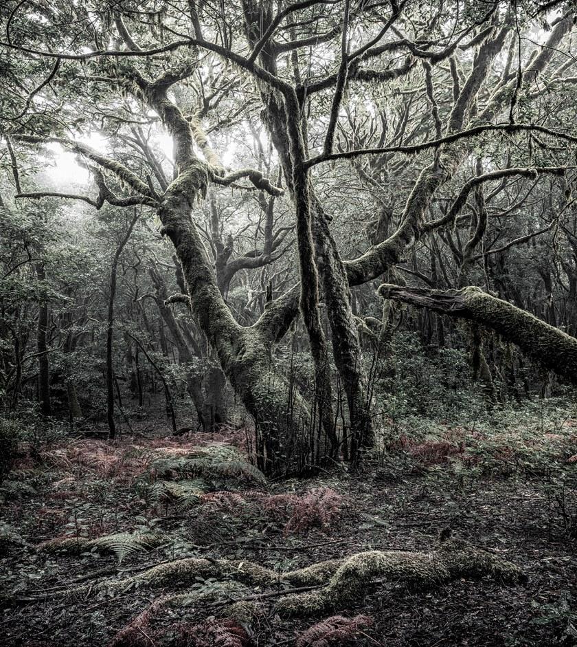 Komar Флизелиновые обои с пейзажами Wanderlust Shx5-018 - Вид №1