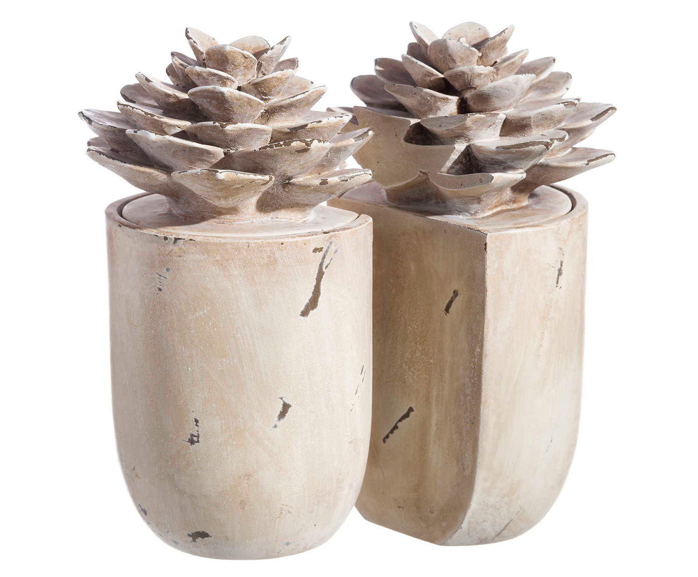 DZ-104-752 ОГРАНИЧИТЕЛИ ДЛЯ КНИГ CACTUS TO4ROOMS  - Вид №1