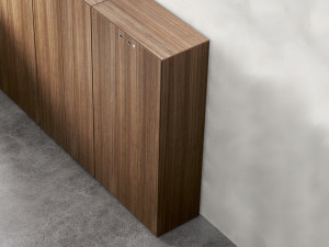 Деревянный шпон офисный шкаф с замком