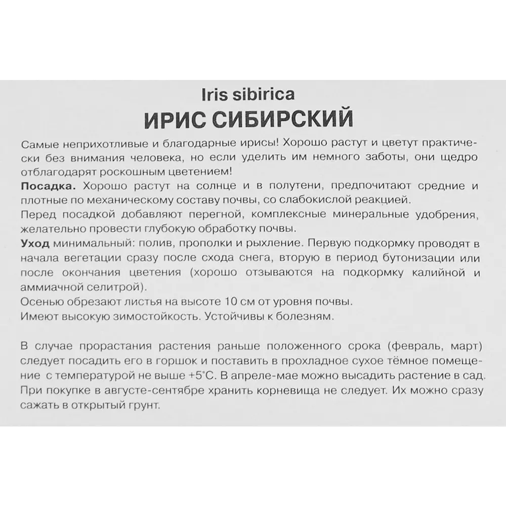 Ирис сибирский Нот Куайт Уайт 1 шт. 83588520 STLM-2201181 Santreyd  - Вид №2