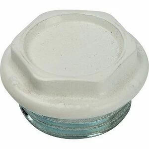 Пробка глухая с прокладкой 1/4" SN Global (левый)