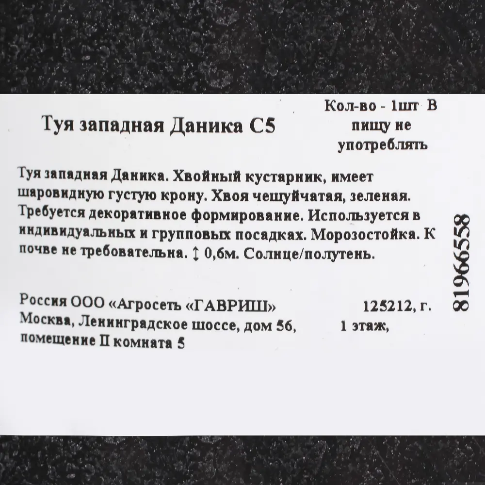 Туя западная даника С5 81966558 STLM-2105340 Santreyd  - Вид №2