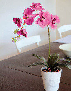 9805 420 a3 Орхидея Phalaenopsis, шелк, 60см, в горшке, вишня H-andreas