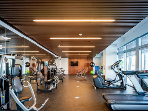 Полная система подвесного потолка