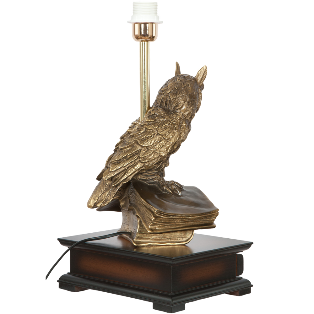 33006/1,34057 Настольная лампа с бюро Ученый Филин Тюссо Игуана Шоколад BOGACHO 4627138211540, 4627138151105 - Вид №5