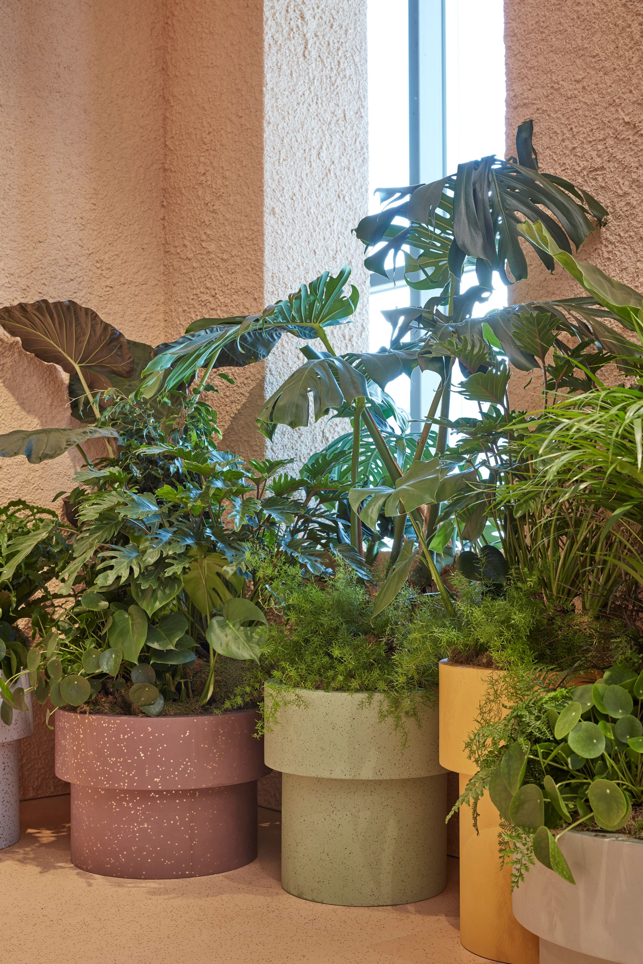 Садовый горшок в Cimento® ERASMO ARCH-00008696 - Вид №2