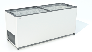 9198564 Морозильный ларь Frostor F 600 C белый, серый