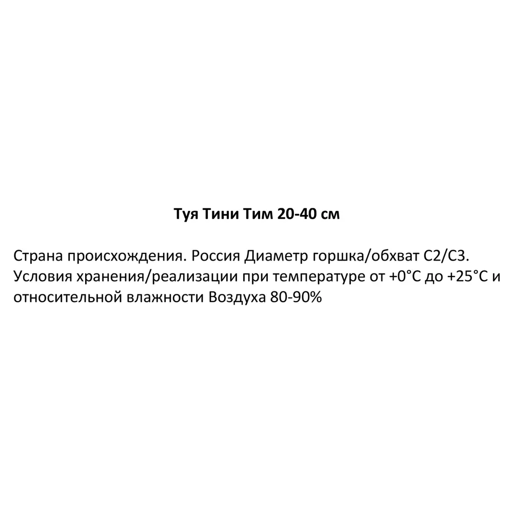 Santreyd Туя Тини Тим: Вечнозеленый шар для ландшафтного дизайна 85320110 STLM-0061315 - Вид №2