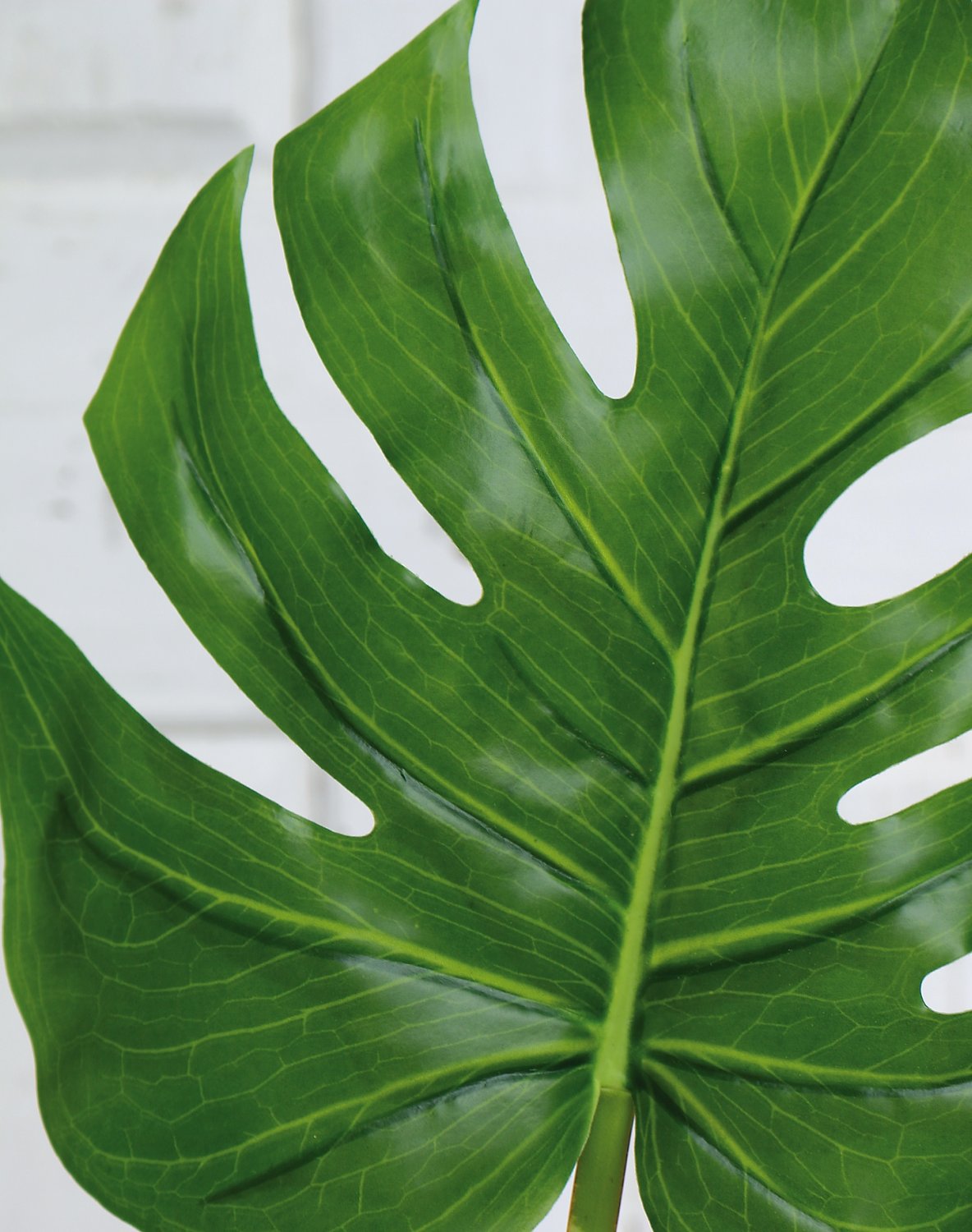 5886 883 a3 Пластиковый лист монстера, 78 см (лист 24 см), зеленый H-andreas  - Вид №3