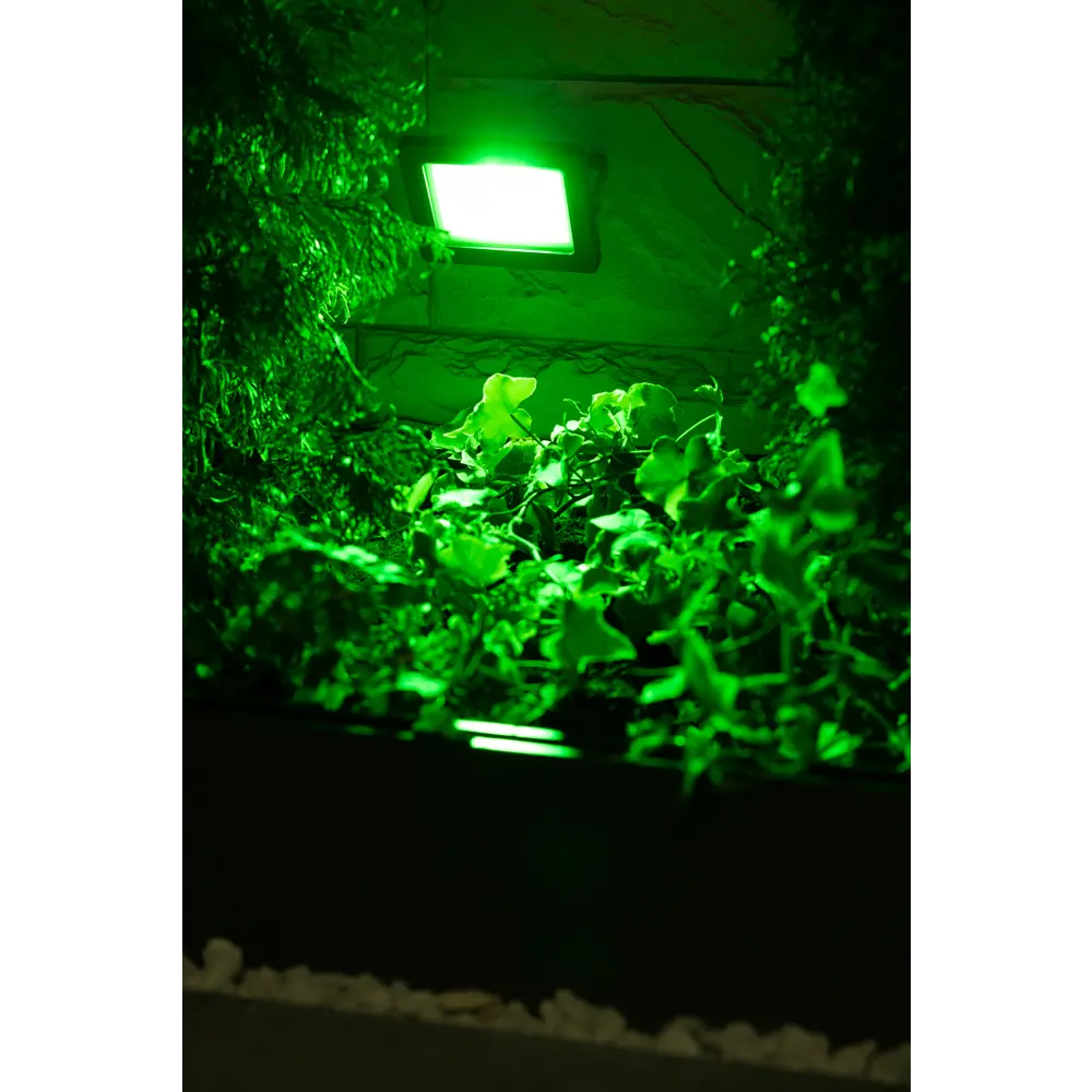 RITTER LED RGB Прожектор уличный 30Вт с пультом управления 83972968 STLM-0045628 - Вид №16